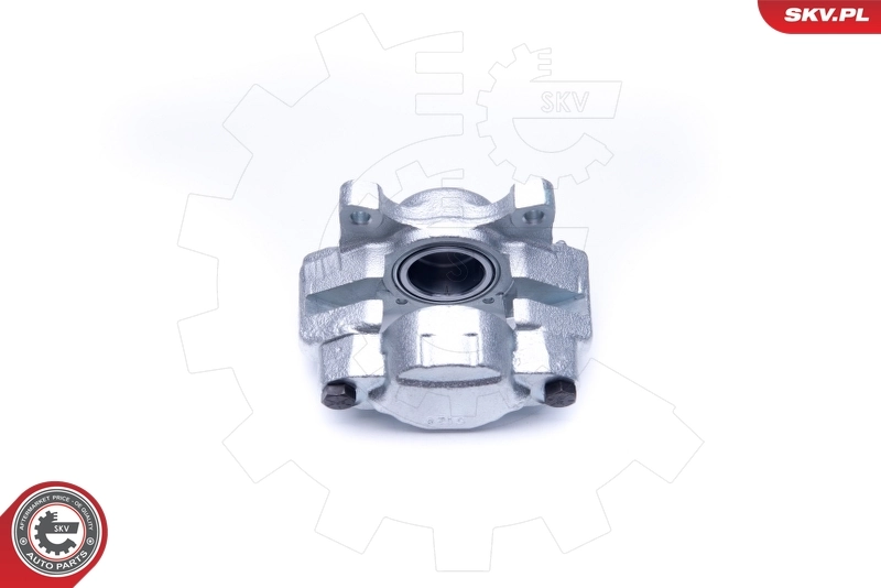 Brake Caliper 45SKV282
