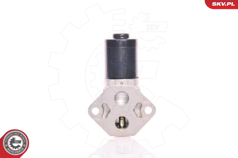 Idle Control Valve, air supply 08SKV222