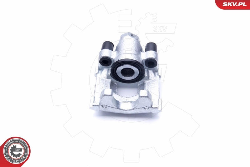 Brake Caliper 42SKV854