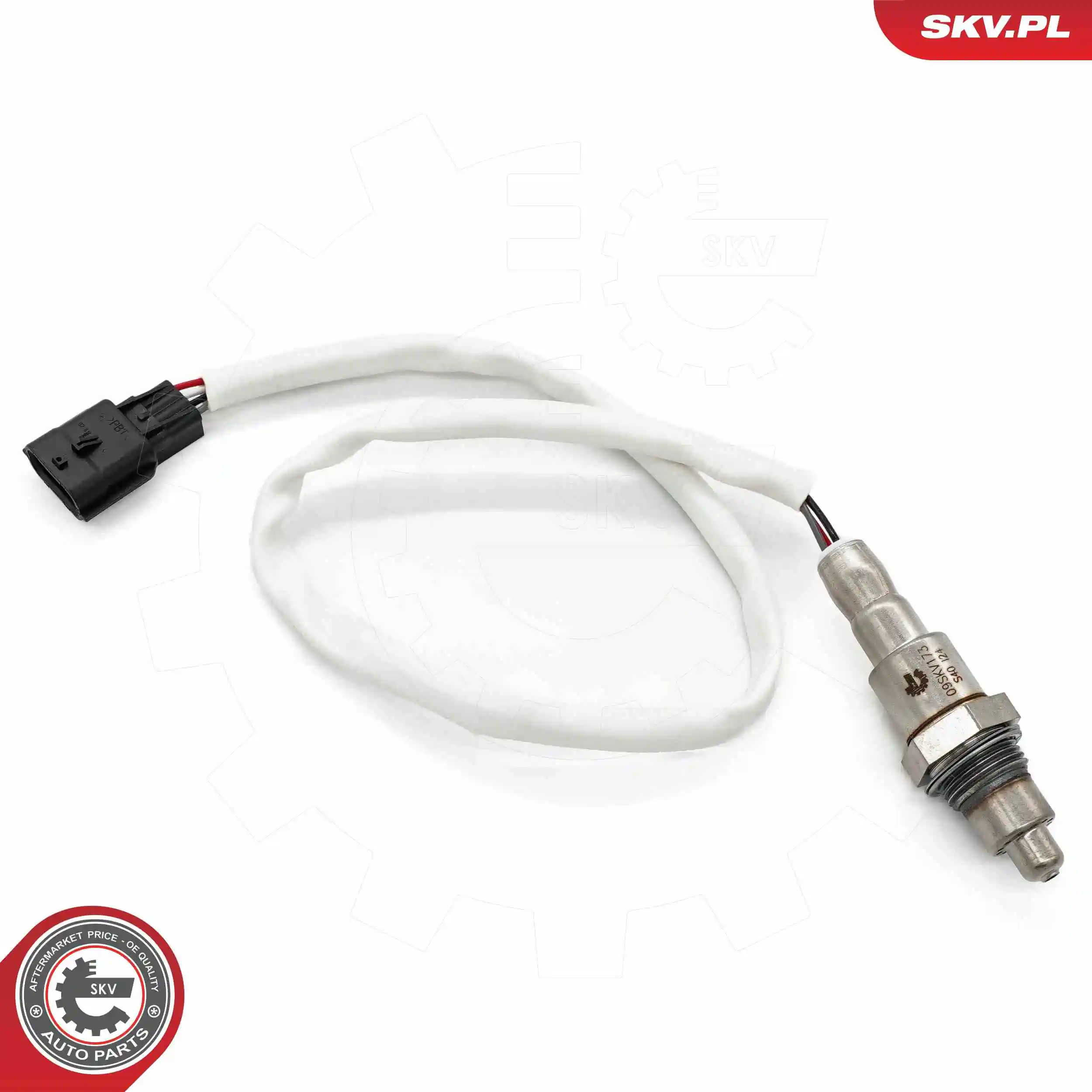 Oxygen Sensor 09SKV173
