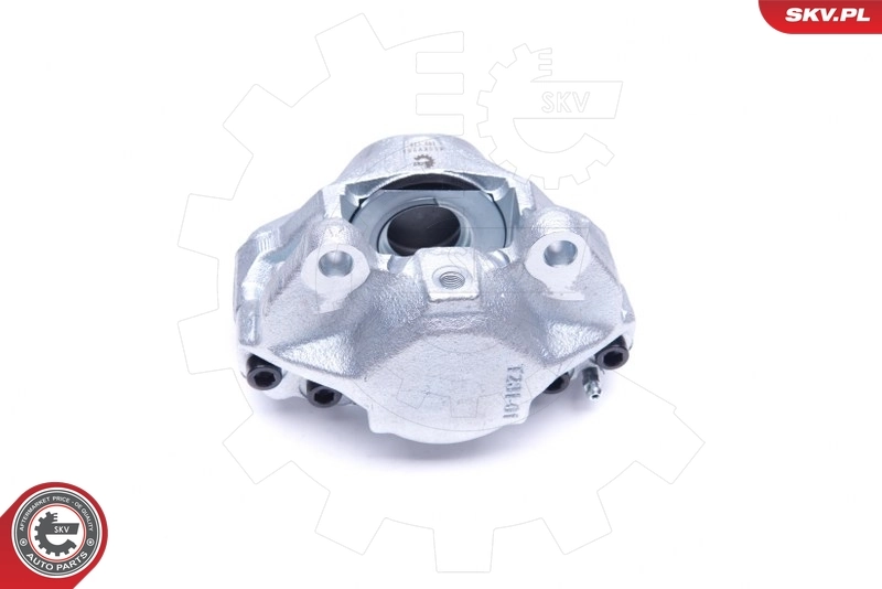 Brake Caliper 45SKV251