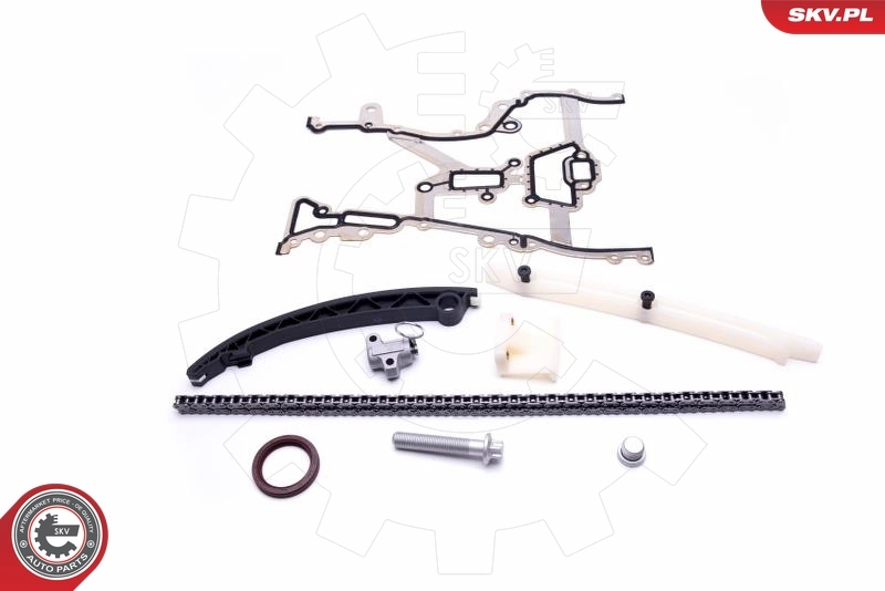 Timing Chain Kit 21SKV201