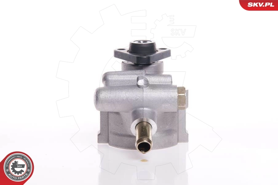 Hydraulic Pump, steering 10SKV007