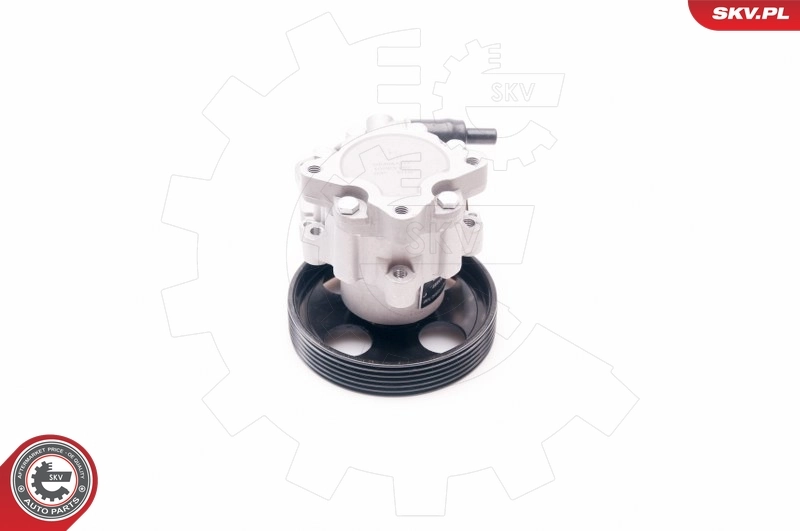 Hydraulic Pump, steering 10SKV197