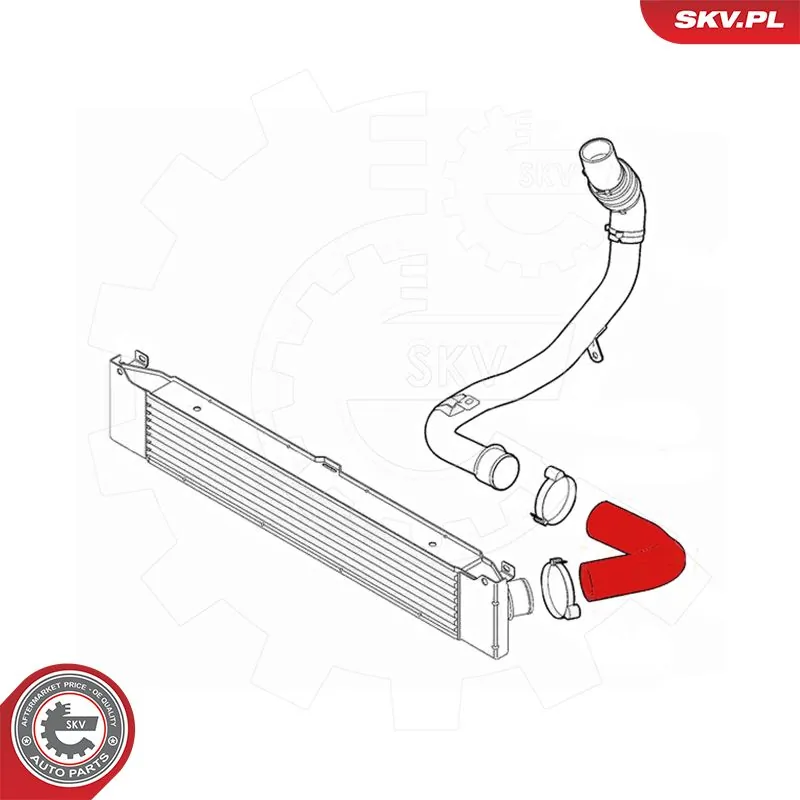 Charge Air Hose 54SKV091