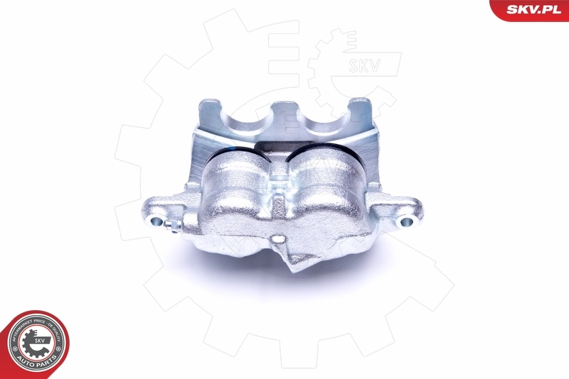 Brake Caliper 46SKV032