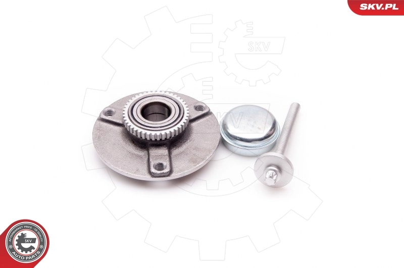 Wheel Bearing Kit 29SKV046