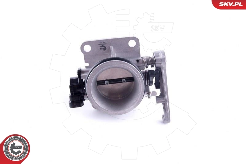 Throttle Body 12SKV086