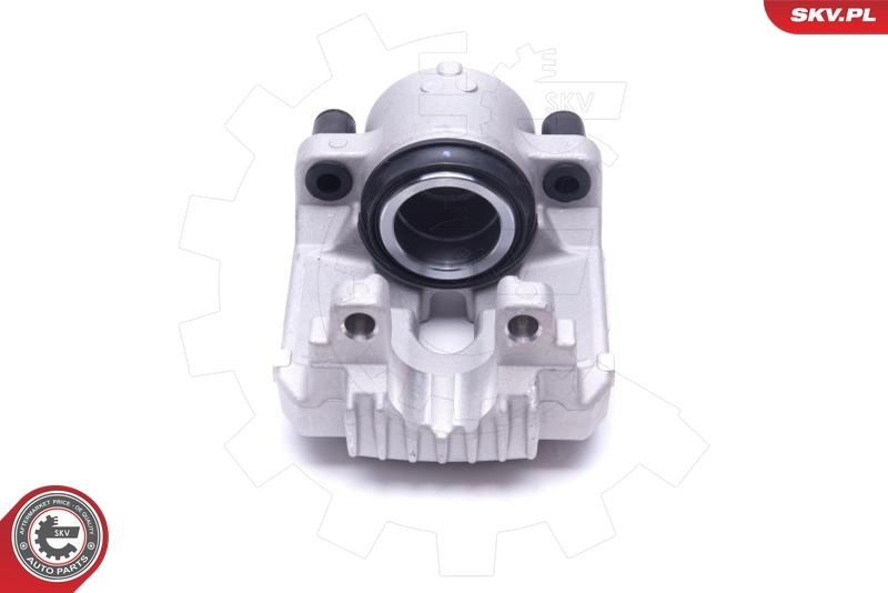 Brake Caliper 56SKV291