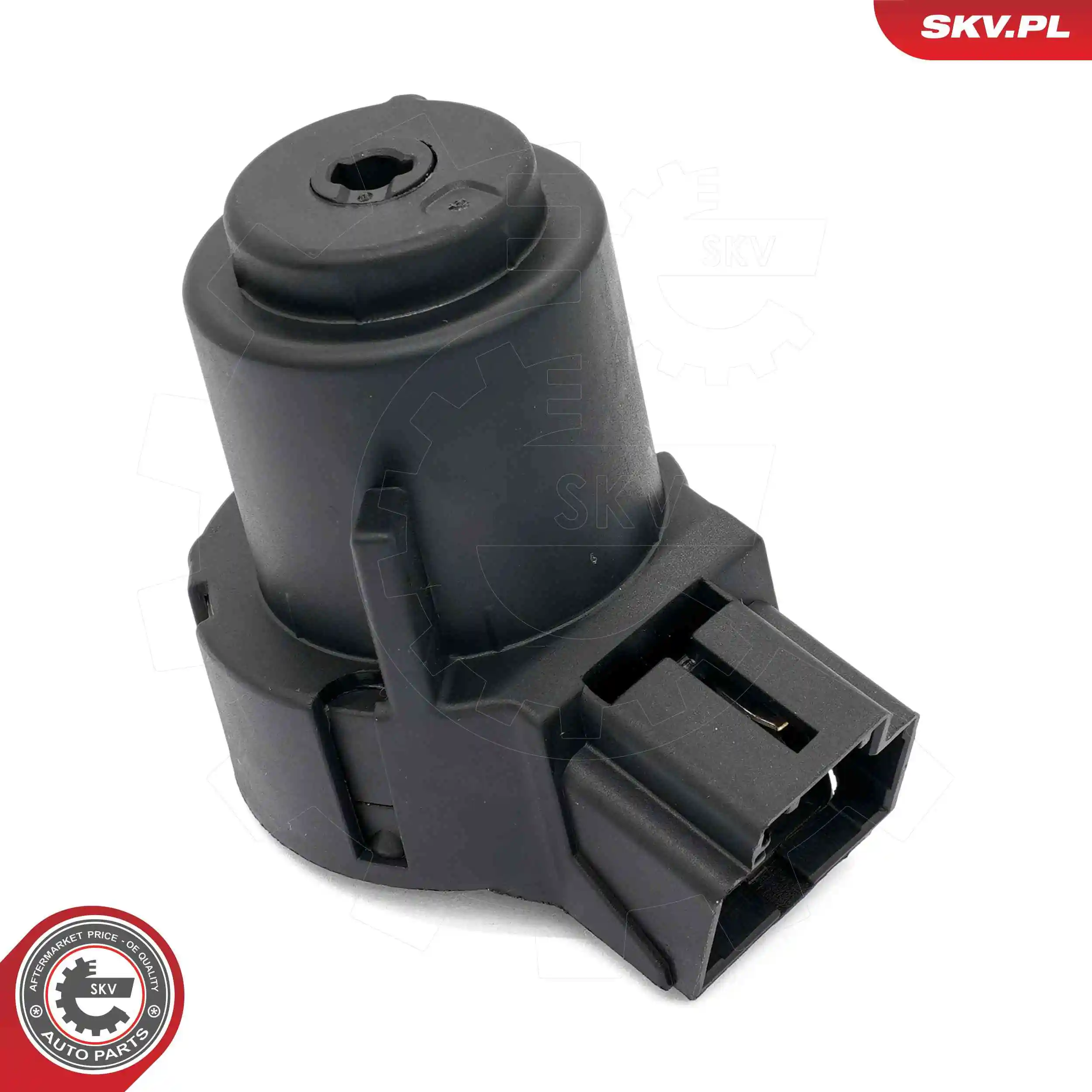 Ignition Switch 65SKV018