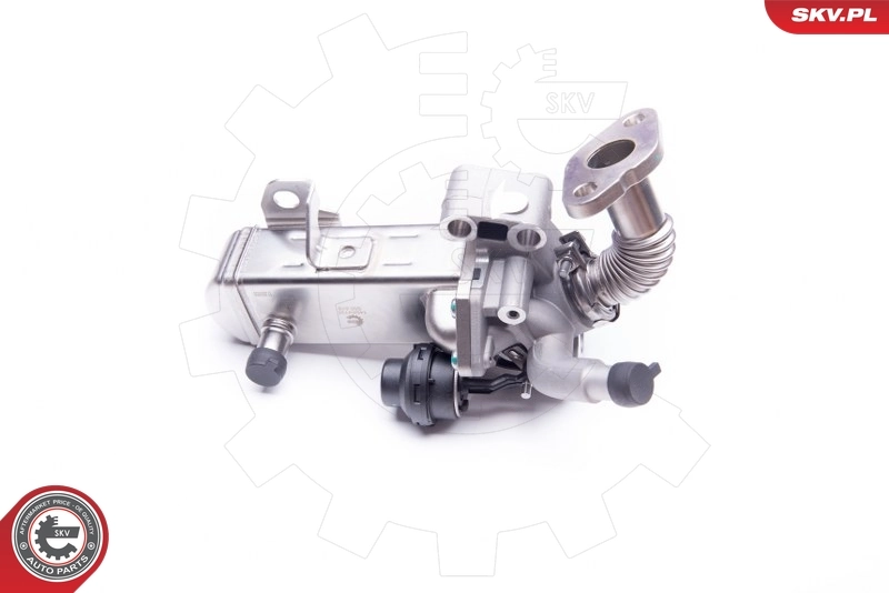 EGR Valve 14SKV135
