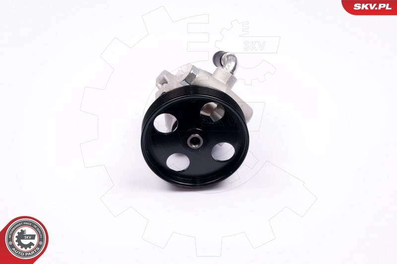 Hydraulic Pump, steering 10SKV174