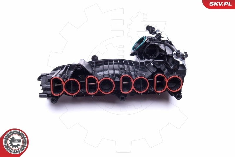 Intake Manifold Module 49SKV020