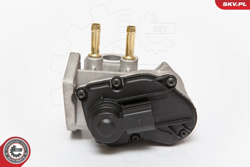EGR Valve 14SKV086