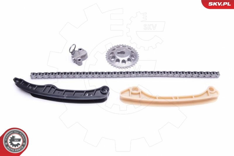 Timing Chain Kit 21SKV211