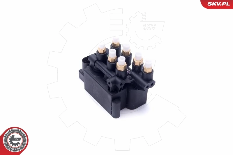 ESEN SKV 93SKV812 Valve, compressed-air system