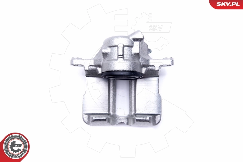 Brake Caliper 46SKV002