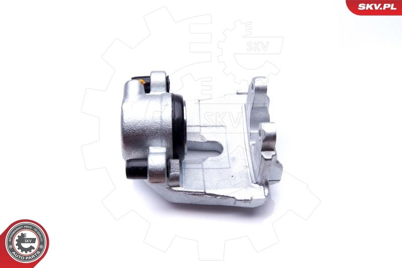Brake Caliper 42SKV371