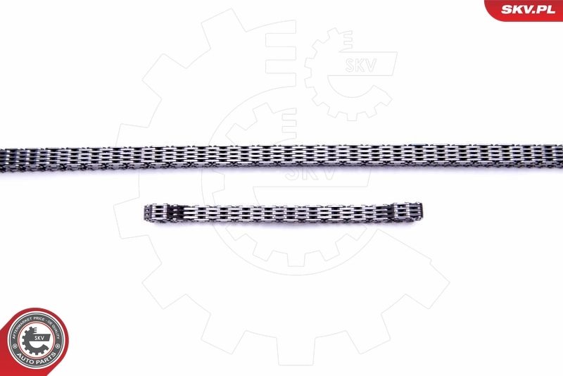 Timing Chain Kit 21SKV243