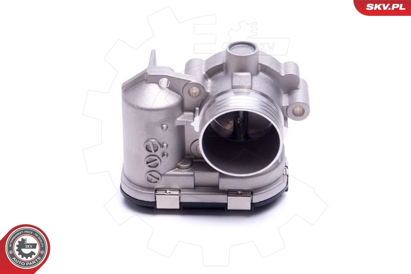 Throttle Body 12SKV119