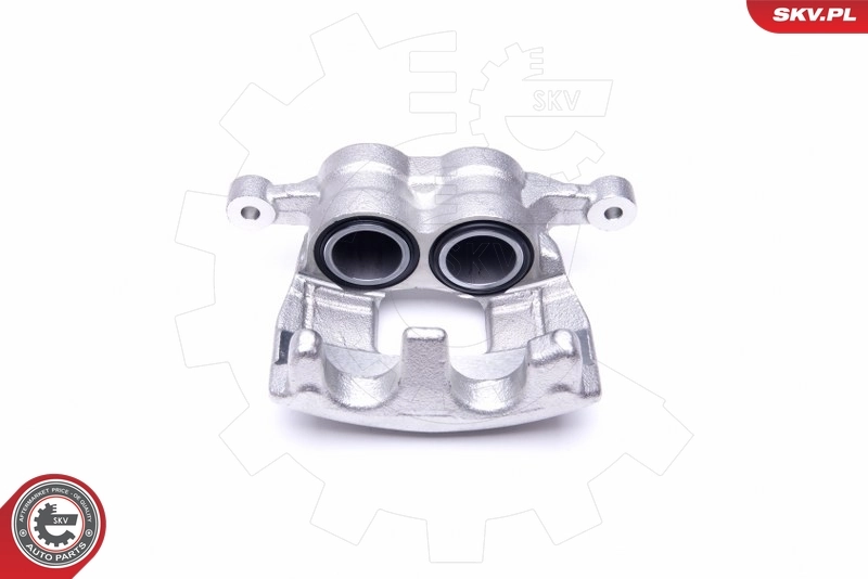 Brake Caliper 50SKV012