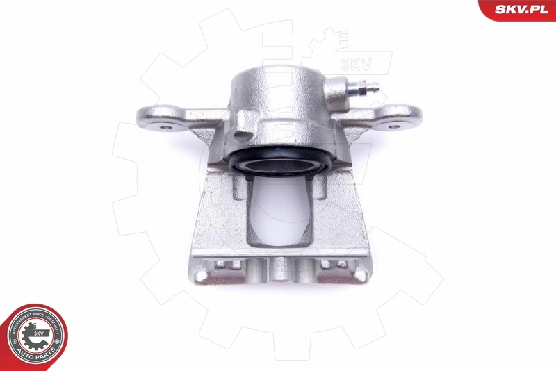Brake Caliper 55SKV651