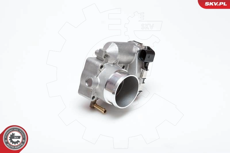 Throttle Body 12SKV008