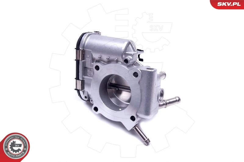 Throttle Body 12SKV098