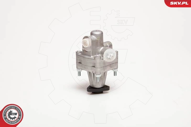Hydraulic Pump, steering 10SKV005