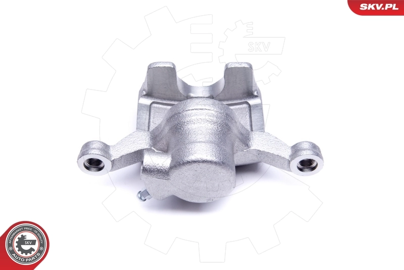Brake Caliper 50SKV443