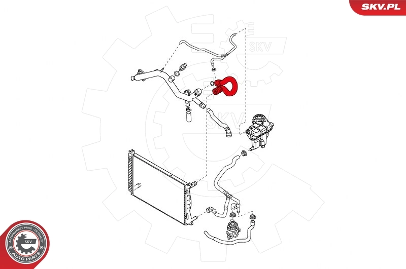 Radiator Hose 43SKV716