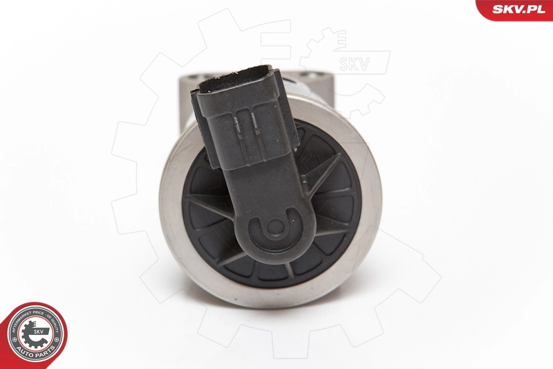 EGR Valve 14SKV059