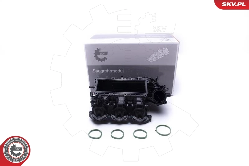 Intake Manifold Module 49SKV061