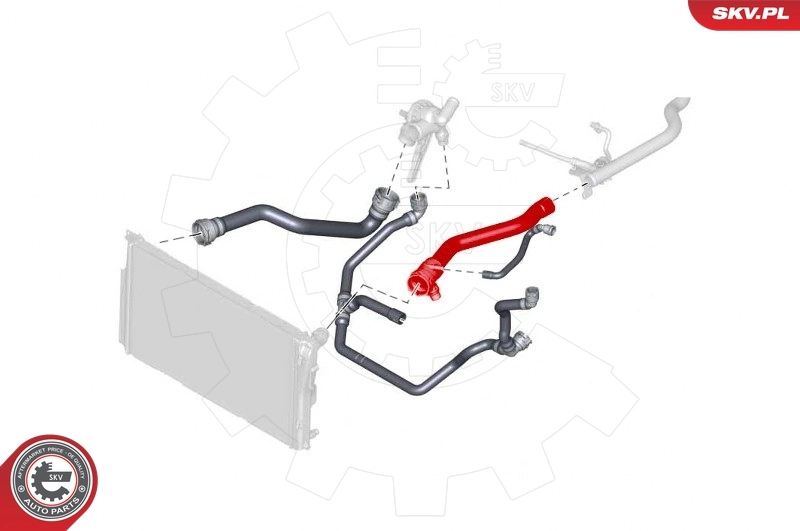 Radiator Hose 43SKV743