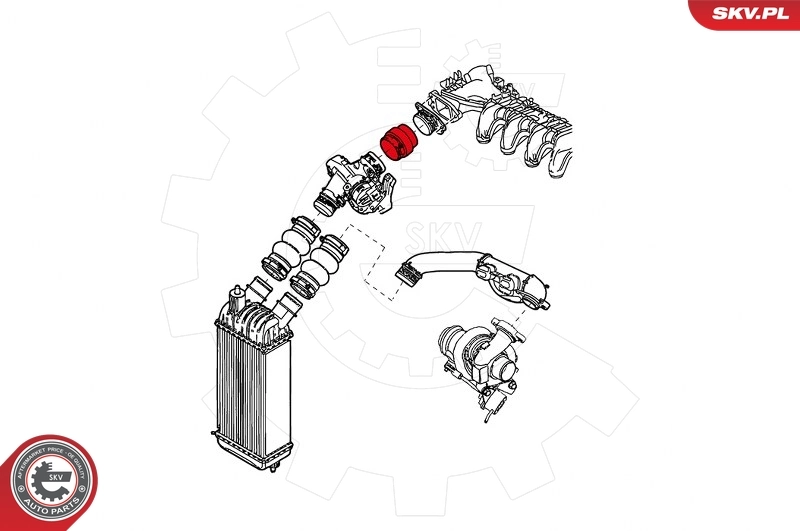 Charge Air Hose 24SKV787