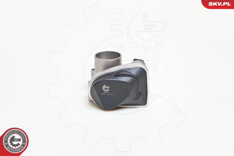 Throttle Body 12SKV030