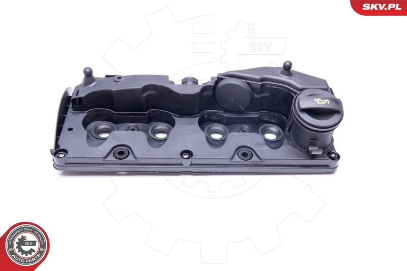 Cylinder Head Cover 48SKV018