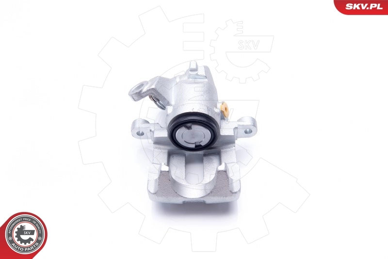Brake Caliper 34SKV123