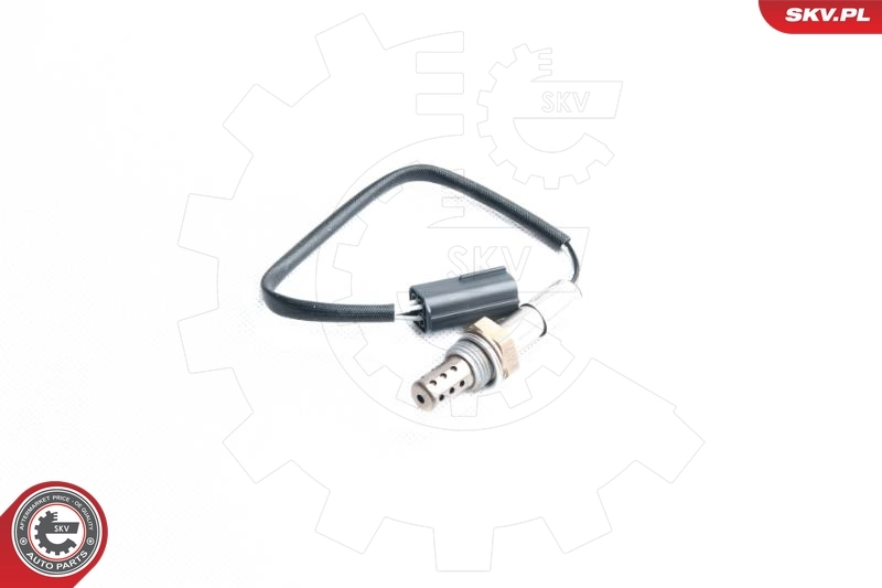 Oxygen Sensor 09SKV093