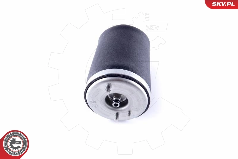 Air Spring, suspension 58SKV001