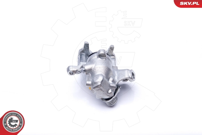 Brake Caliper 34SKV888