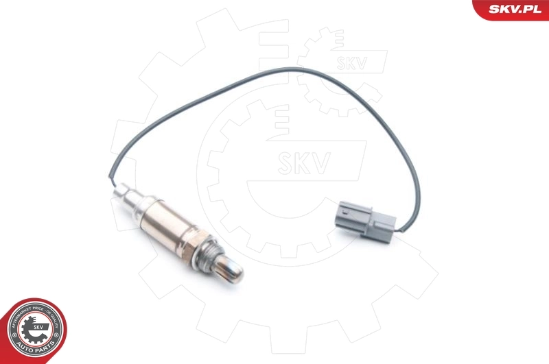 Oxygen Sensor 09SKV719