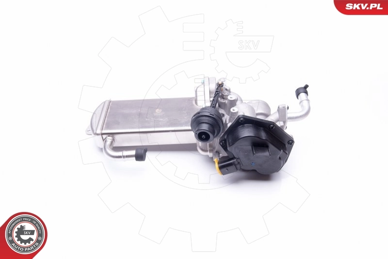 EGR Valve 14SKV154