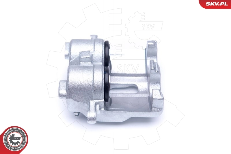 Brake Caliper 42SKV932