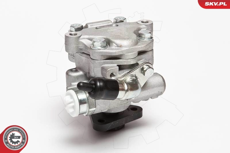 Hydraulic Pump, steering 10SKV075