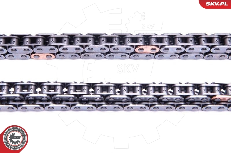 Timing Chain Kit 21SKV225