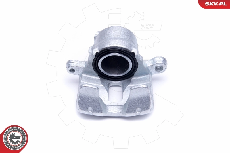 Brake Caliper 50SKV451