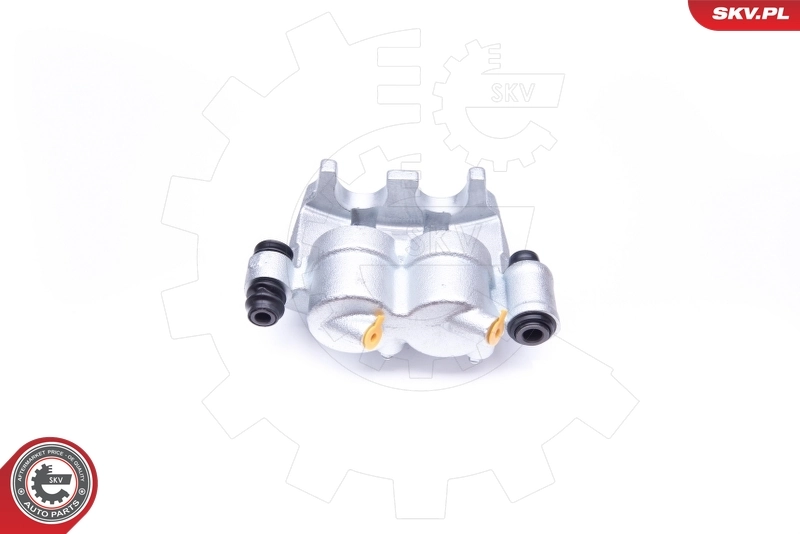 Brake Caliper 42SKV071
