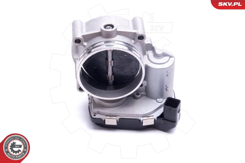 Throttle Body 12SKV115