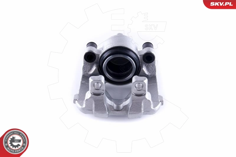 Brake Caliper 55SKV252